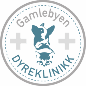 Gamlebyen Dyreklinikk AS