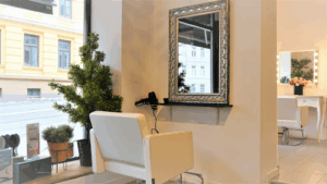 Giso Studio