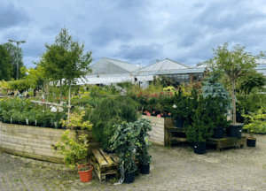 Hageland Olsens Enke