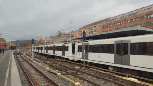 Ruter