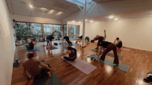 Yogabrie Pilates & Ashtanga